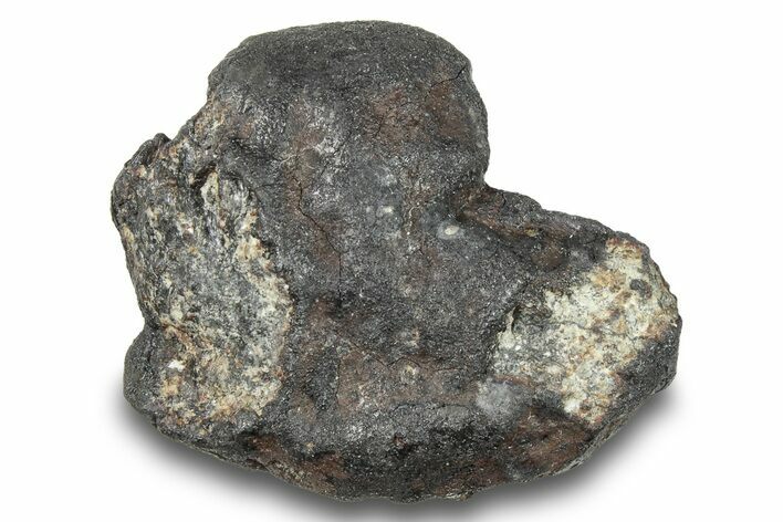 Chelyabinsk Chondrite Meteorite ( grams) - Russia #247008